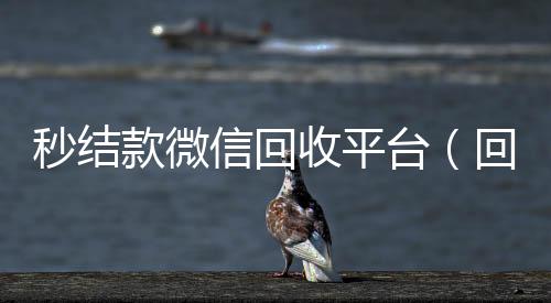 秒结款微信回收平台(回收vx秒结联系方式)