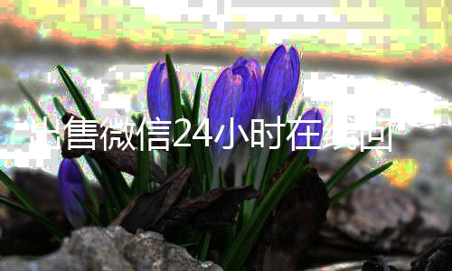 出售微信24小时在线回收（微信号30元一个自动发货）