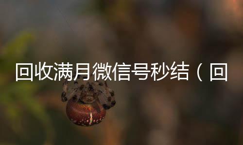 回收满月微信号秒结(回收微信新号半个月)