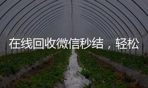 在线回收微信秒结，轻松变现，高效便捷！