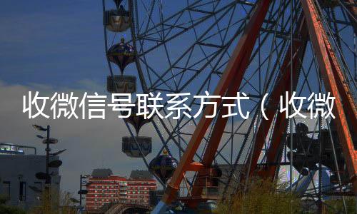 收微信号联系方式(收微信号联系方式的人)