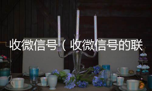 收微信号（收微信号的联系方式）