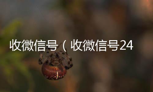 收微信号(收微信号24小时在线秒结)