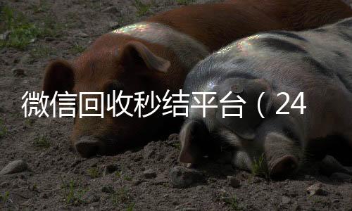 微信回收秒结平台(24小时高价回收微信秒结平台正规微信号回收秒结)