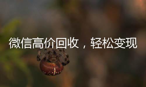 微信高价回收，轻松变现，让你的闲置物品价值翻倍！