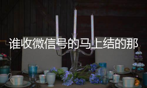 谁收微信号的马上结的那种(有谁收微信)