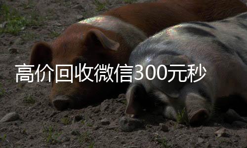 高价回收微信300元秒结(高价回收微信300元秒结的平台)