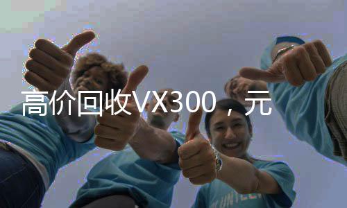 高价回收VX300，元秒结服务，轻松变现，尽享高效交易体验