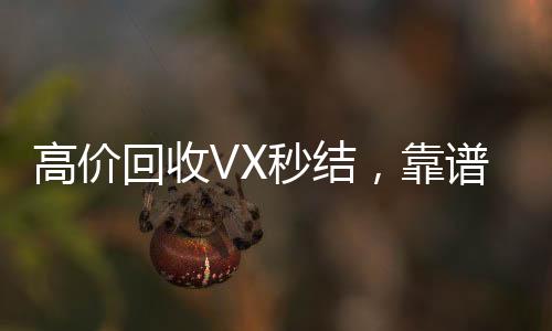 高价回收VX秒结，靠谱服务，让您轻松变现