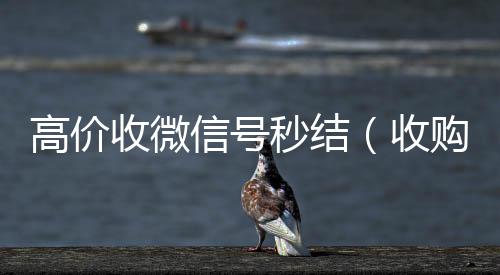 高价收微信号秒结(收购微信号秒结)