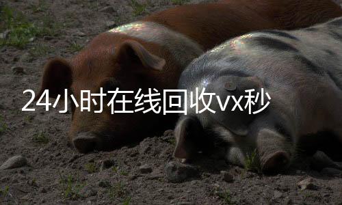 24小时在线回收vx秒结（24小时回收微信在线交易）