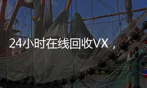 24小时在线回收VX，轻松变现，安全快捷！