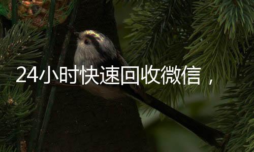 24小时快速回收微信,轻松变现,无忧服务尽在掌握!