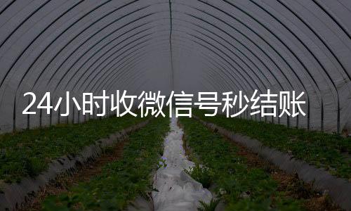 24小时收微信号秒结账(24小时收微信现结)